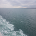 embroideryflowers avatar