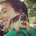 emerald-city7 avatar