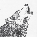 emerald-wolfe avatar