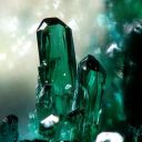 emeraldbranch avatar