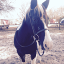 emergency-dismount avatar