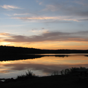 emetophobia-support avatar