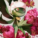 emileyroses avatar