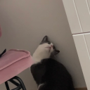 emiliaadalmiina avatar