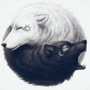 emiliagesheva avatar