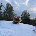 emiliastudies avatar