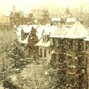 emilieshapirostudio avatar