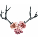 emily--pinkney avatar