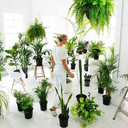 emily-gillis-blog avatar