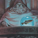 emily-is-awake avatar