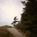 emilyart-mixedmedia avatar