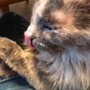 emilyblogsthings avatar