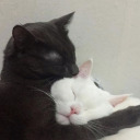 emilyborchers avatar