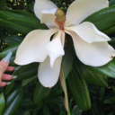 emilycjenkins avatar