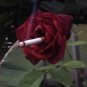 emilythesinner avatar