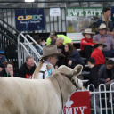 emilywhatman7 avatar