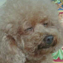 emilyyyyy-tpq avatar