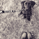 emmascrazyworld avatar