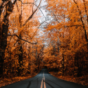 emmettunknown avatar