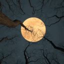 emocionesdeunachicainestable avatar