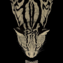 emonegro avatar