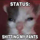 emotional-simp avatar