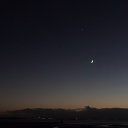 emotional-turtle avatar