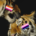 emotional11angel avatar