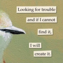 emotionalhimbo avatar