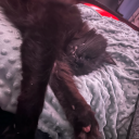 emotionallytiny avatar