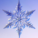 emperatorfevrus avatar