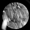 empiredownthere avatar