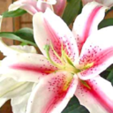 empoweringmylife avatar