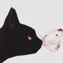 empress-nariko avatar