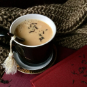 empressgraytea avatar