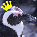 empresspenguin avatar