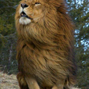 empresssatoguard avatar