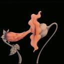 emptyspaces0879 avatar