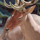 empyreal-lamb avatar