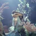 empyrealoasis avatar