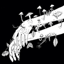 emtheindividual avatar