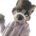 emveethedog-blog avatar