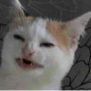 en-algun-lugar-de-mi-mente avatar