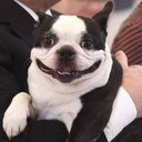 en-ole-robotti avatar