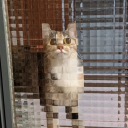 enakarafakirakomelo avatar