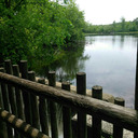 enamored-fate avatar