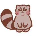 enby-raccoon avatar