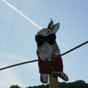 enchanted-bluff avatar