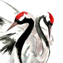 enchanted-crane avatar