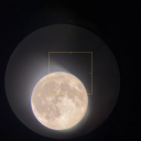 enchanted-to-meet-ya avatar